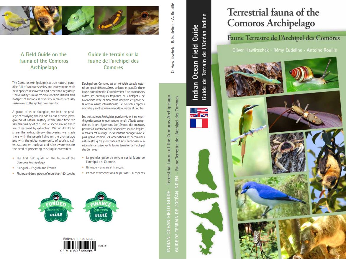 Ausschnitt Buchcover